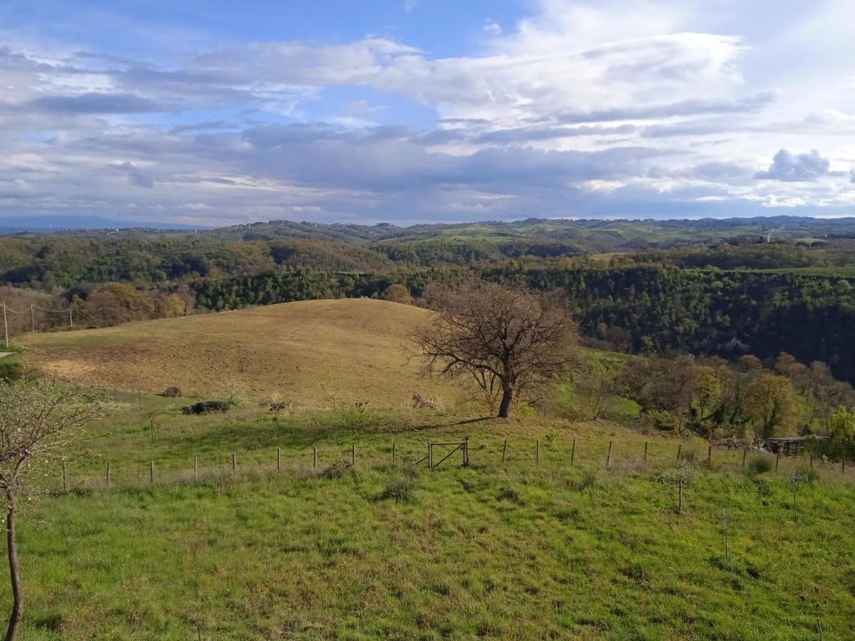 Agriturismo Il Cielo In Terra Sant'Oreste Luaran gambar